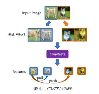 具體來說，通過多種數據增強方法構造正樣本對，基于不同源圖片構造正負樣本對，進而對比學習樣本對的距離差，讓正樣本對的相似度遠大于正負樣本對的相似度